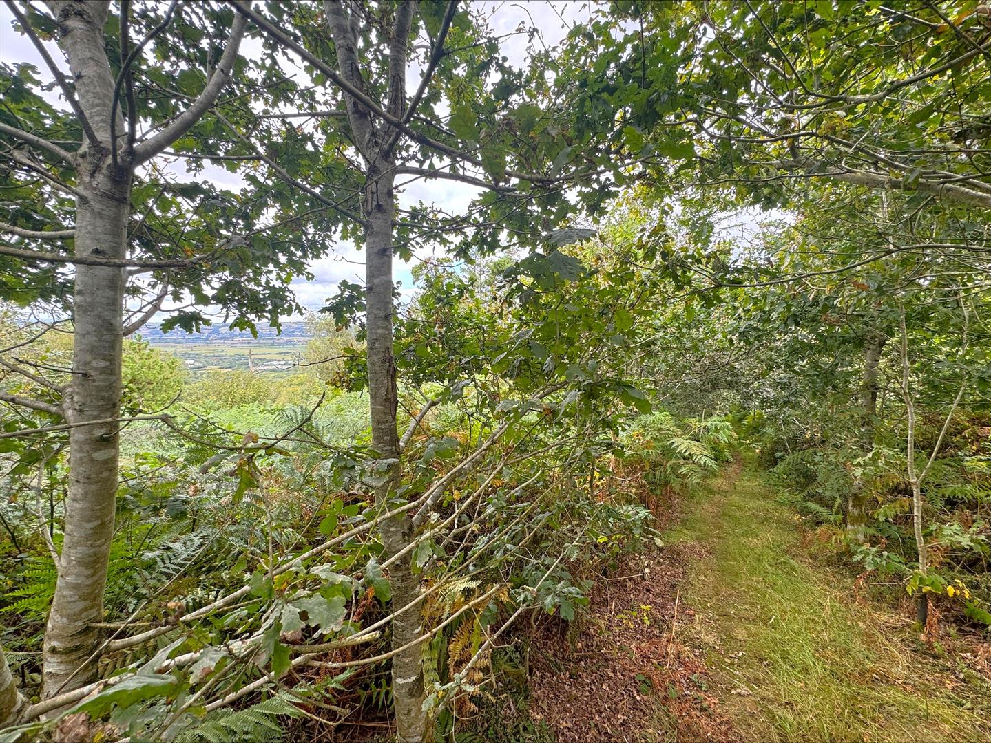Pembrey, Burry Port, SA16 0BX
